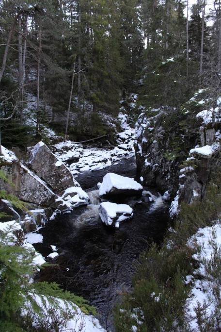 25399046_10154942923796296_7785787120286698974_n