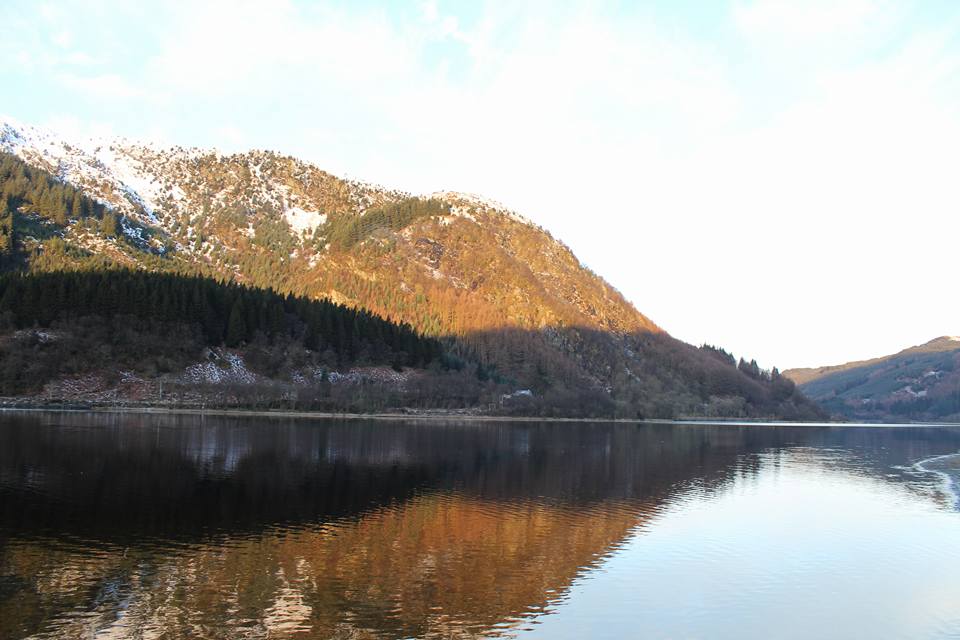 25445954_10154942909006296_7447862086803519466_n