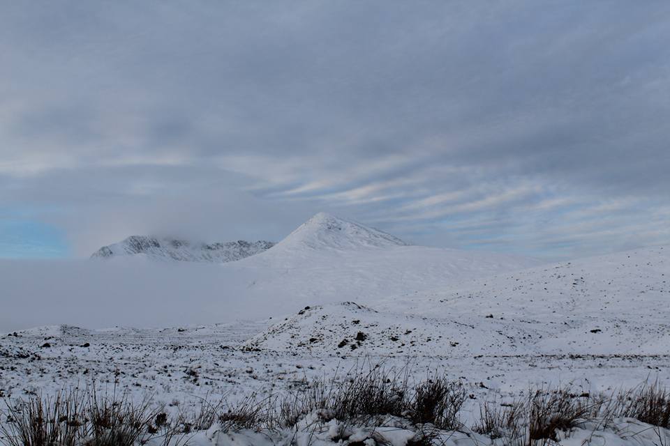 25550140_10154942910131296_5240511016392176130_n