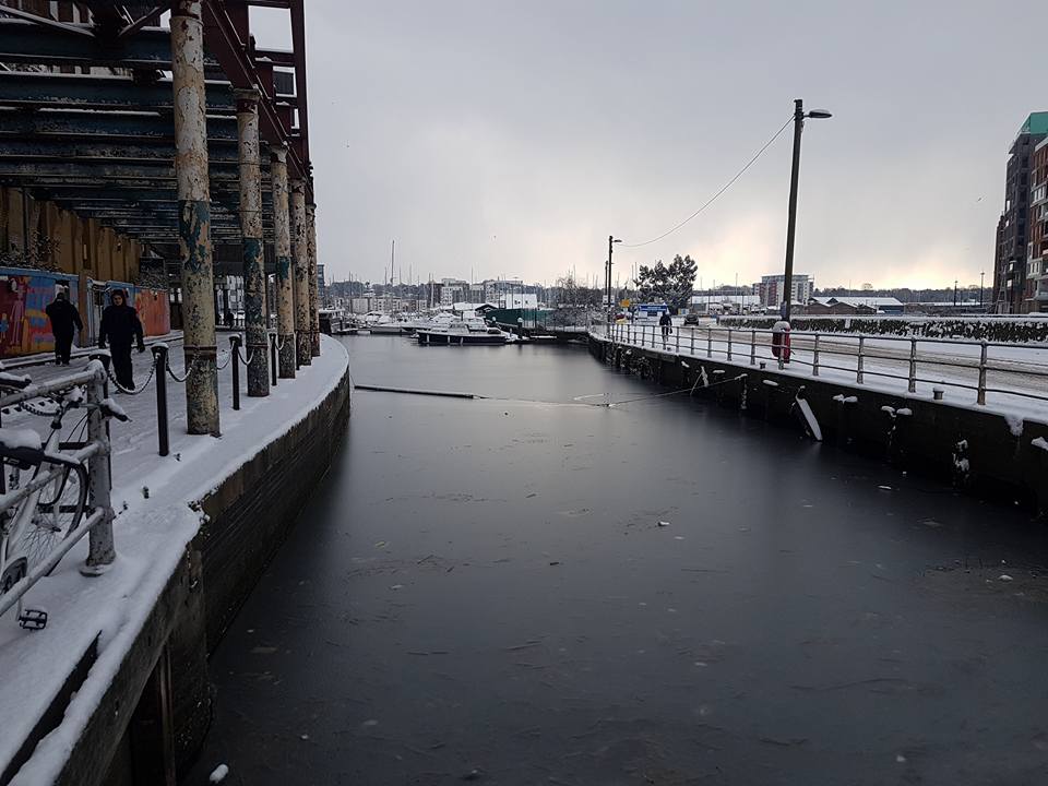 18423920_10155108973591296_4641217431145620726_n