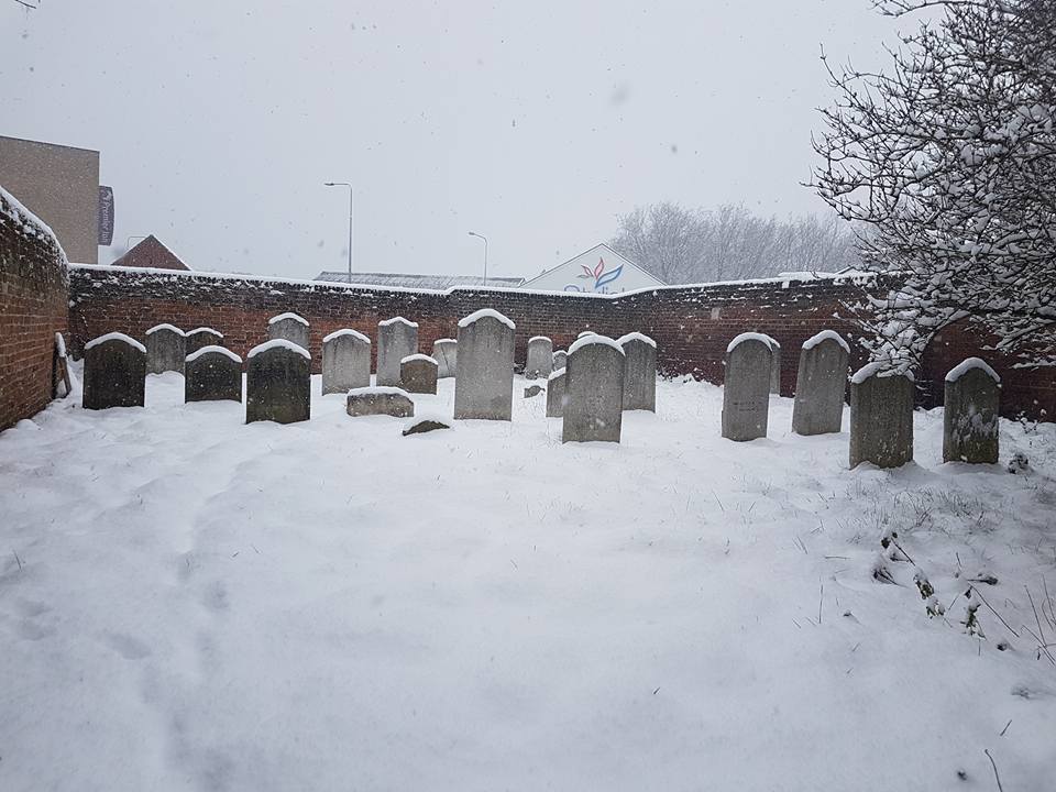 28276736_10155108972461296_4354435322958213755_n