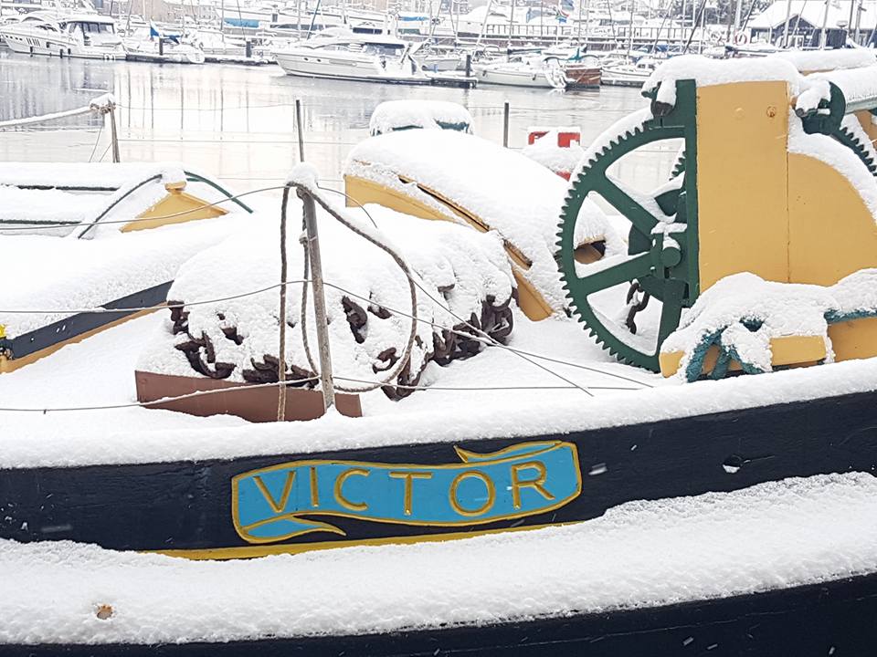 28279479_10155108973116296_1481370362446152696_n